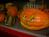 dsc_0135-large