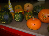 dsc_0136-large