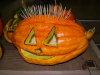 dsc_0150-large