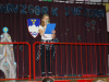 dsc_0208-large