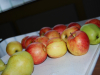 dsc_0171-large