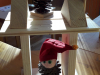 20161130_101834-large